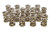 1.625 Dual Valve Springs (16)