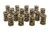 1.539 Dual Valve Springs (16)