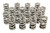 1.274 Dual Valve Springs GM LS (16)