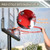 Portable Basketball Hoop & Goal, Outdoor Basketball System with 6.6-10ft Height Adjustment for Youth, Adults