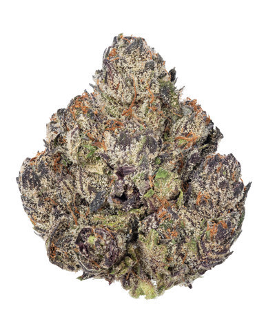 Black Tuffle Indica Exotic THCA Flower 40.50%