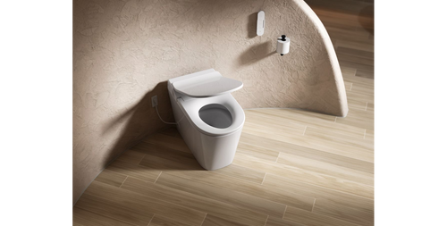 Product 2 - Kohler Leap™