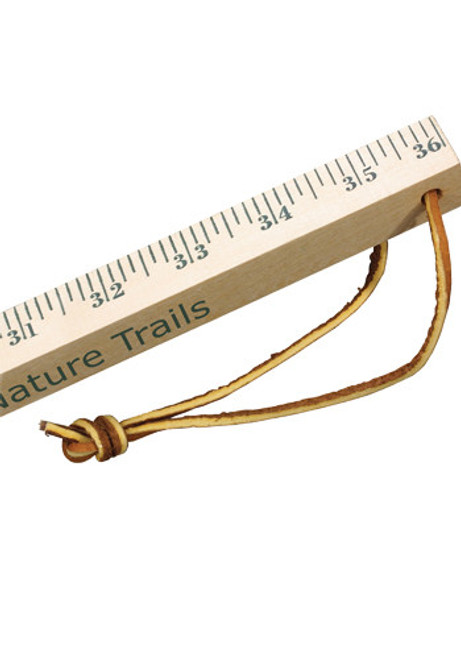 Natural Finish Measuring Sticks