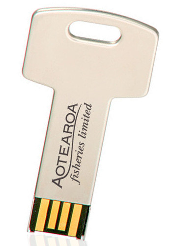 Key USB 8GB Flash Drives