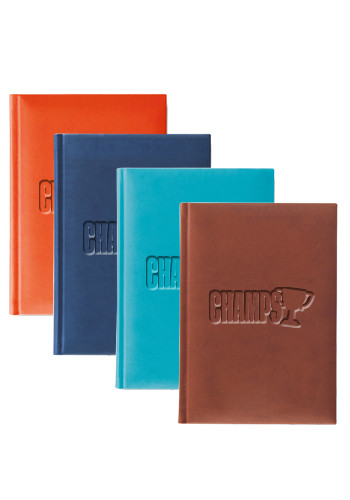 Medium Tucson Journals