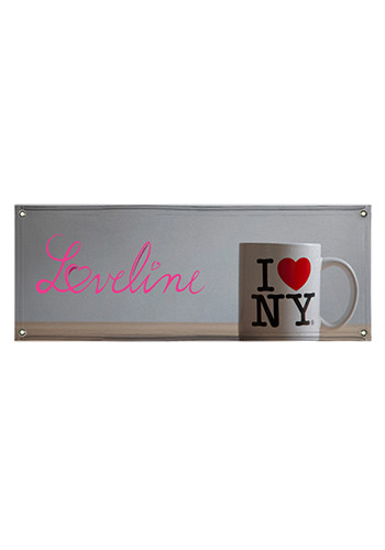 8W x 3H ft Durable Vinyl Single-Sided Banners