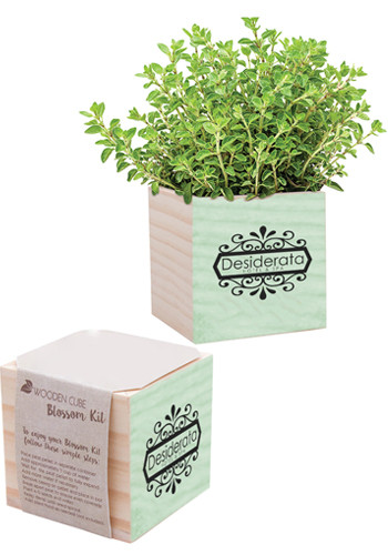 Natural Pine Wooden Cube Blossom Kits