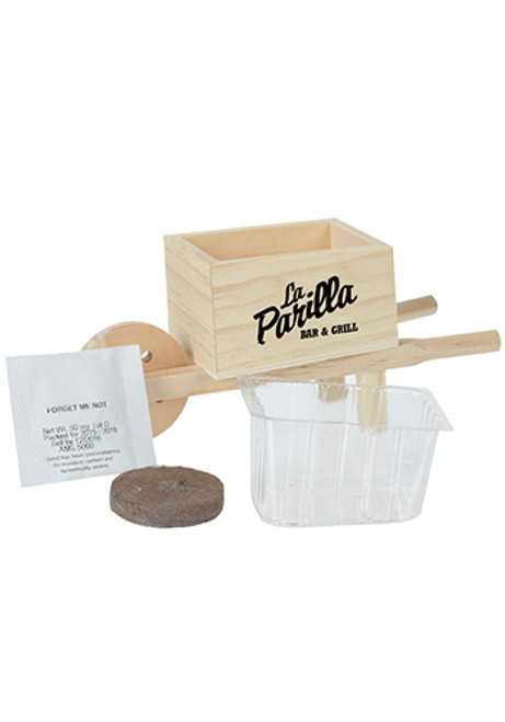 Forget Me Not Wooden Cube Blossom Kits