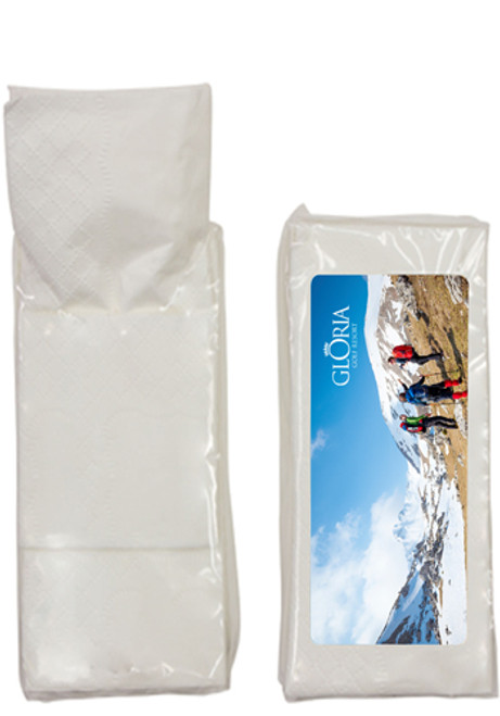 10 Pcs. Pocket Tissue Packs 10 Pcs. Pocket Tissue Packs