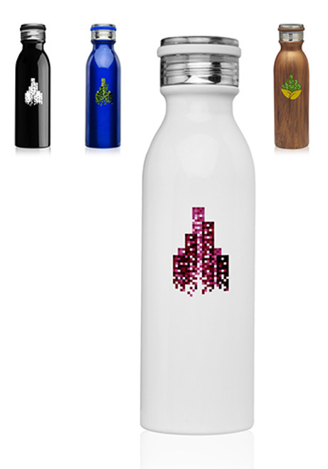 20 oz. Echo Stainless Steel Water Bottles