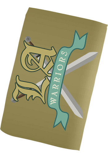 11 x 18 Full Color Microfiber Cleaning Cloths