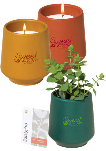 Modern Sprout® Rooted Candle