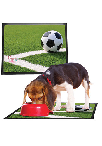20 x 16  Pet Mat
