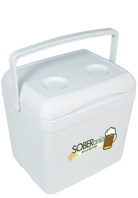15L Grab-N-Go Cooler