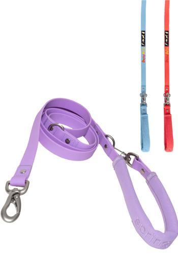 Springer Small Dog Leash