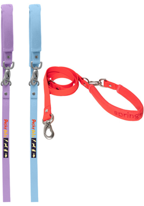Springer Dog Leash Springer Dog Leash