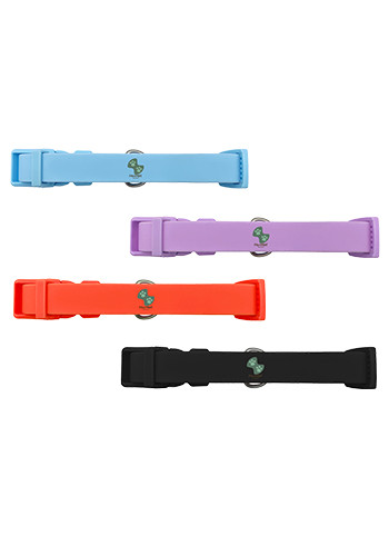 Springer Large Dog Collar