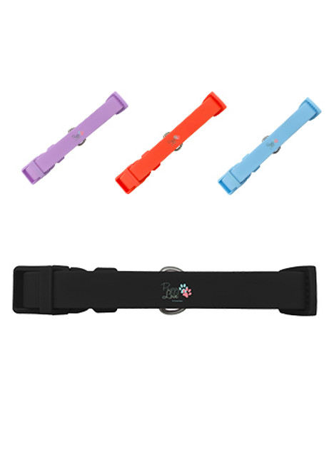 Springer Medium Dog Collar Springer Medium Dog Collar