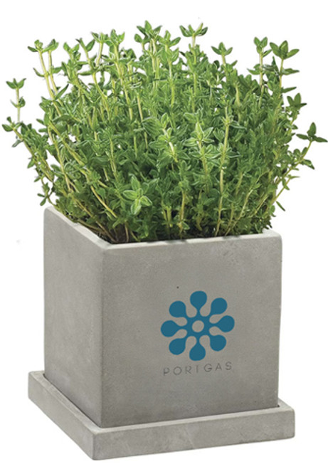 Stone Blossom Kit Stone Blossom Kit