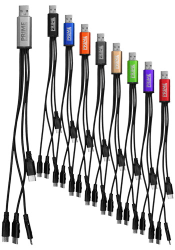 4 in 1 Dual Input Accent Cable