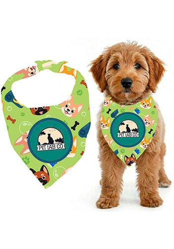 Rover Ready Pet Bandana