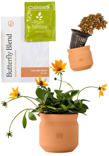 Modern Sprout Tiny Terracotta Thank You