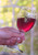 10 oz. Rioja Wine Glasses