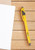 Accent Click Action Pens