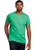 Gildan SoftStyle Adult T-shirts