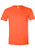 Gildan SoftStyle Adult T-shirts