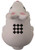 Rabbit Stress Balls