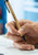 Business Recycled Pens
