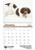 Monthly Puppies Calendars