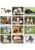 Monthly Puppies Calendars