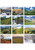 Colorado Triumph Calendars