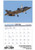Planes Calendars