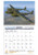 Planes Calendars