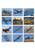 Planes Calendars