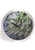 10 inch Brushed Metal Wall Clocks with Glass Lens
