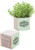 Natural Pine Wooden Cube Blossom Kits