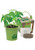 Mini Pail Blossom Kits