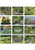 Garden Walk - Spiral Calendars