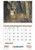 Wildlife Portraits - Stapled Calendars