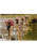 500 Piece Puzzles