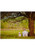 110 Piece Sublimation Photo Puzzle