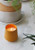 Modern Sprout® Rooted Candle