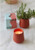 Modern Sprout® Rooted Candle