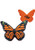 Orange Butterfly Stress Reliever