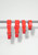 Springer Large Dog Collar