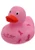 Awareness Duck